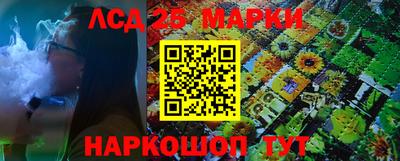 сатива Краснознаменск