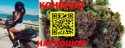 сатива Краснознаменск