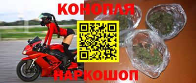 сатива Краснознаменск