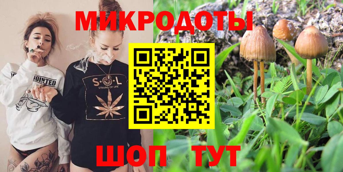 Ивантеевка  Галлюциногенные грибы Psilocybine cubensis  Вход с VPN 